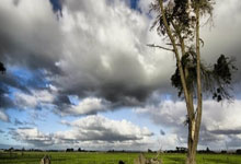 亿万28官网：一切始于9岁那一瞥——考文垂的破界人生与体育理想2025-04-02.